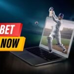 Reddy Anna ID For IPL & Live Matches – Start Betting Today